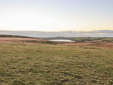 A grassy field with scattered sheep and hills in the distance near a body of water at Villa 18 Lanteglos Holiday Park in Lanteglos Holiday Park near Camelford