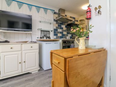 A kitchen with a wooden drop leaf table holding a vase of flowers a white cabinet with a television on top a small refrigerator and a cooking area with a stove and a microwave at 4 The Park in Kilkhampton