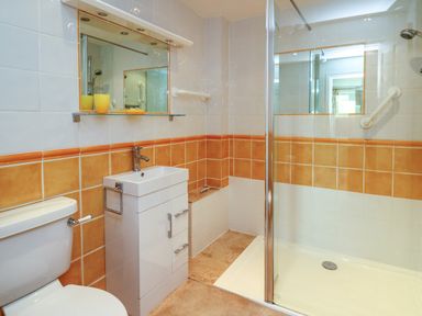 A bathroom with a toilet, a sink with cabinet, a mirror, and a walk-in shower at West Dairy near Newport, Pembrokeshire