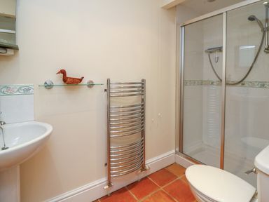 A bathroom with a white sink a glass shelf with a duck ornament a chrome towel radiator a glass door shower and a toilet at West Dairy near Newport Pembrokeshire