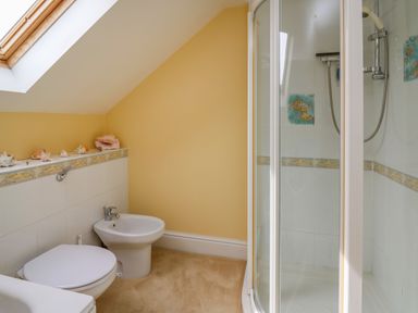 A bathroom with a toilet bidet shower under a skylight at West Dairy near Newport Pembrokeshire