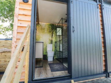 A bathroom with a toilet a shower a sink and a forest mural visible through a partially open black sliding door at Hawkstone Kenstone near Hodnet