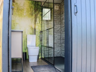 A bathroom with a toilet a cabinet glass shower enclosure and a wall with forest wallpaper at Hawkstone in Kenstone near Hodnet