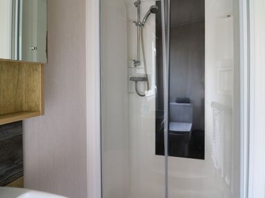 A bathroom with a shower enclosure a mirrored cabinet and a toilet visible through the shower door at Osprey 7 in Tenby