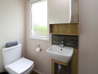 A bathroom with a toilet a small sink a mirror cabinet and a window at Osprey 7 in Tenby