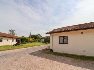 A gravel driveway between single-story houses with tiled roofs and picnic tables on grass at Seaweed Weston near Sidmouth