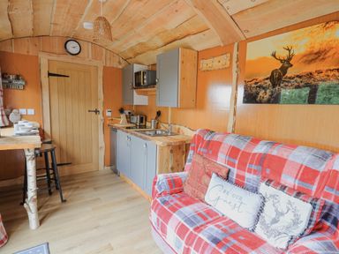 A compact kitchen and seating area with a red plaid sofa and a wooden door at Shepherd's Cwtch in Cilycwm near Llandovery