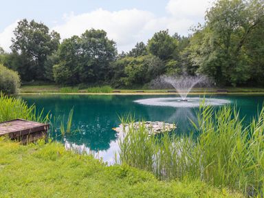 A pond with a water fountain surrounded by grass trees and bushes at Peacock Lodge in Swannington near Coalville
