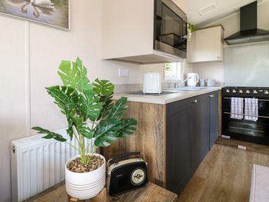 A kitchen area with a countertop microwave sink kettle toaster stove and a plant on a wooden surface at Peacock Lodge in Swannington near Coalville