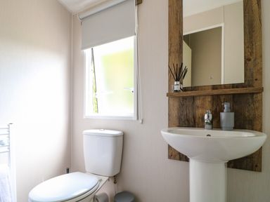 A bathroom with a toilet under a window and a pedestal sink with a mirror and shelf at Peacock Lodge in Swannington near Coalville