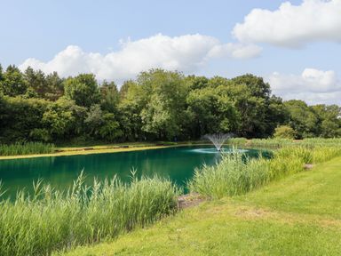 A pond with a fountain surrounded by grass and trees at Peacock Lodge in Swannington near Coalville