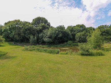 A grassy area with a pond surrounded by trees and shrubs at Peacock Lodge in Swannington near Coalville