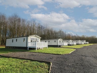 A row of white mobile homes with porches on grass next to a gravel path and trees in the background at Peacock Lodge in Swannington near Coalville