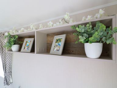 A shelf with two white pots of green plants and two picture frames with artwork at Stork Lodge in Swannington near Coalville