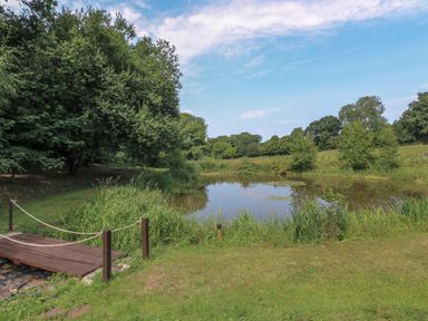 A pond surrounded by grass trees and a wooden bridge at Stork Lodge in Swannington near Coalville
