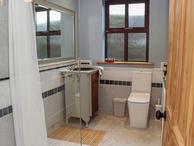A bathroom with a toilet a sink cabinet a mirror a window and a shower area at Pink Granite Garden of Ireland near Tinahely County Wicklow