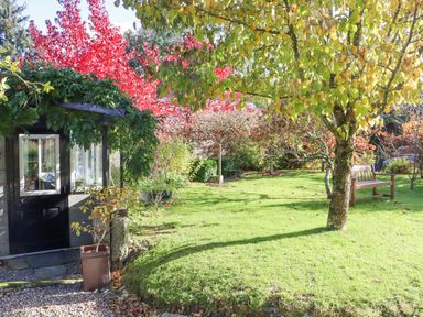 A garden with a door covered in vines a potted plant a tree and a wooden bench at Pink Granite Garden of Ireland near Tinahely County Wicklow