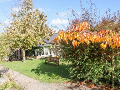 A garden with trees a wooden bench and a gravel path near Pink Granite Garden of Ireland in County Wicklow