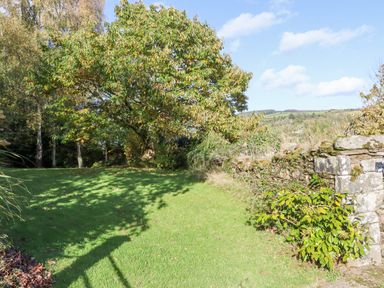 A garden with a large tree grass and a stone wall at Pink Granite Garden of Ireland near Tinahely County Wicklow