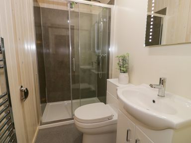A bathroom with a shower enclosure a toilet a sink with a cabinet a mirror and a plant on the counter at Enia Lodge 2 Llanelidan near Corwen