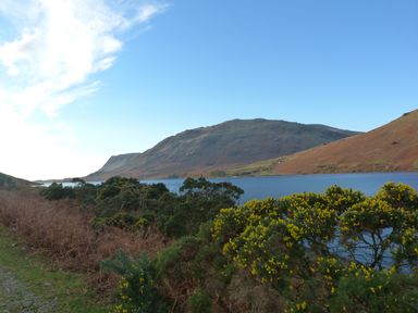 A lake with hills and green and yellow bushes under a blue sky