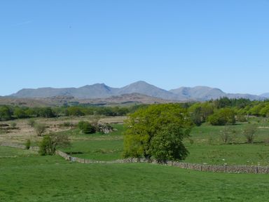 A green field with trees and stone fences with mountains in the background at Lazey Cottage in Haverigg