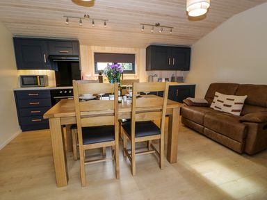 A kitchen and dining area with wooden table and chairs dark cabinets and a brown sofa at Math Lodge 3 Llanelidan near Corwen