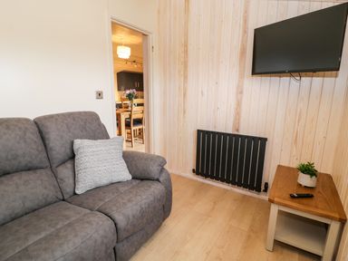 A sitting area with a gray sofa and pillow a wall-mounted TV radiator and a side table with a plant and remote at Math Lodge 3 Llanelidan near Corwen