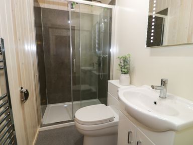 A bathroom with a shower enclosure a toilet a sink with cabinet and a plant at Math Lodge 3 Llanelidan near Corwen