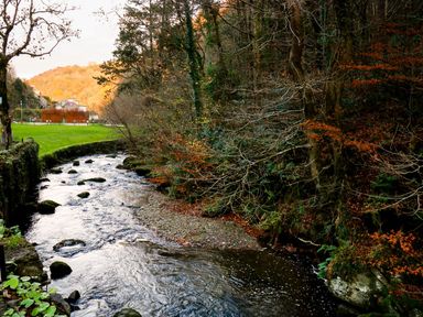 A river flowing through a wooded area with trees and a grassy park with buildings in the background at 22 Two Little Ducks in Lynton