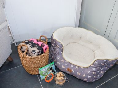 A pet bed with dog treat jar and basket of blankets on the floor in a corner at Hilldene in Treknow