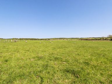A green field with sheep grazing under a clear blue sky at Hilldene in Treknow