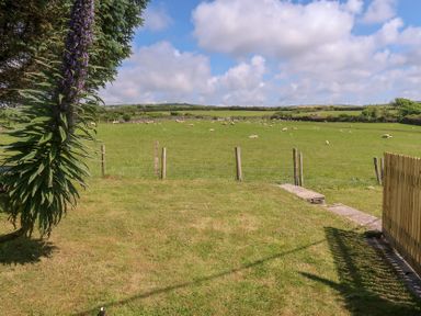 A garden with grass and sheep in the field at Hilldene Treknow