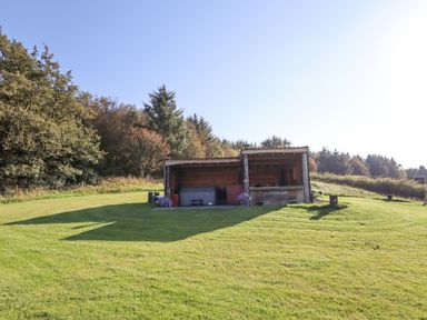 A grassy lawn with a wooden shelter and trees in the background at Rhosydd in Cyffylliog near Ruthin