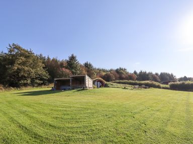 A grassy field with a wooden shelter and a round door house near trees at Rhosydd in Cyffylliog near Ruthin