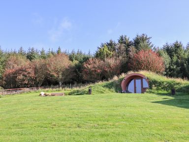 A grassy area with a small round door house built into a hill with trees in the background at Cae Bach in Cyffylliog near Ruthin
