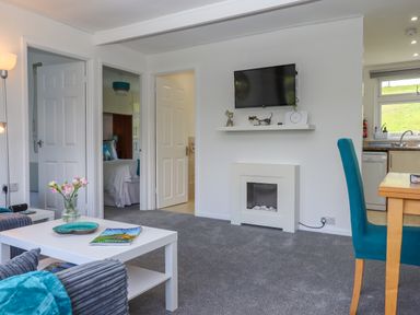 A living room with a white coffee table, a gray armchair, a wall-mounted television above a small fireplace and a blue chair at a wooden dining table at Florences Nest in Dartmouth