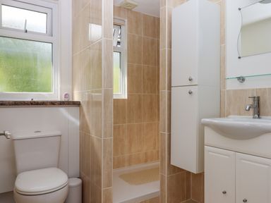A bathroom with a toilet, a shower enclosure, a white cabinet, and a sink with a mirror at Florence's Nest in Dartmouth