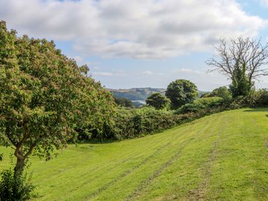 A grassy hillside with several trees and a hedge in a rural landscape at Florences Nest in Dartmouth