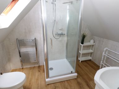 A bathroom with a shower enclosure toilet towel rack small shelf with a plant and wooden floor at Carreg Ddu in Solva