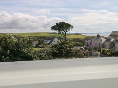 A coastal village view with houses trees fields a single tall tree and the sea at Carreg Ddu in Solva