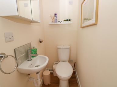A small bathroom with a toilet sink mirror and a shelf with decorations at Carreg Ddu in Solva