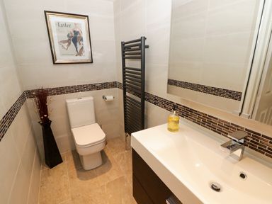A bathroom with a toilet sink mirror radiator framed picture and vase at Morva in New Quay