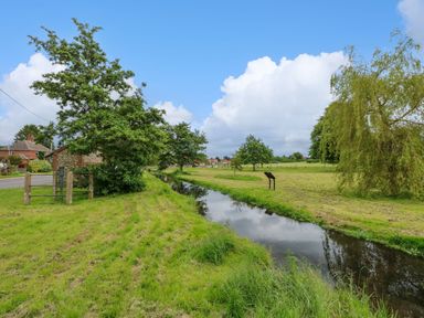 A small water stream running through a grassy area with trees and houses in the background at Daisys Place in South Creake near Little Walsingham