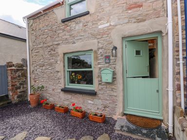 An entrance with a green door and flower pots at 2 Strand Cottages in Laugharne