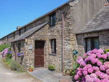 A stone cottage with a wooden door and pink flowers outside at West Lee in Bude