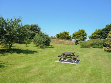 A grassy lawn with a wooden picnic table and trees under a clear blue sky at West Lee in Bude
