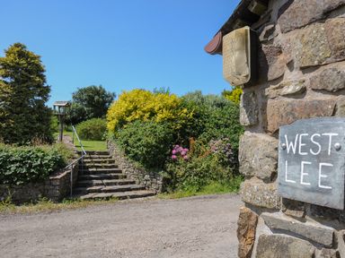 Stone steps leading to a garden with bushes and trees and a stone wall with a West Lee sign in Bude