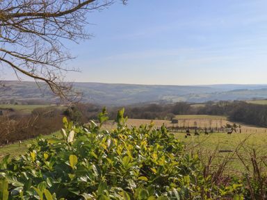 A rural landscape with green fields trees and hills in the background at Roding Cottage Egton