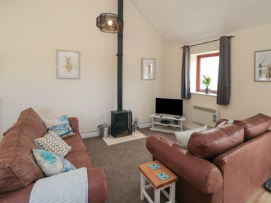 A living room with two brown sofas a wood stove a small tv on a white stand and a window with curtains at Curlew Cottage near Filey